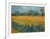 Field of Flowers near Arles-Vincent van Gogh-Framed Art Print