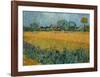 Field of Flowers near Arles-Vincent van Gogh-Framed Art Print