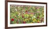 Field of Flowers-Silvia Mei-Framed Art Print