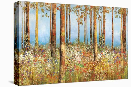 Field of Flowers-Sloane Addison ?-Stretched Canvas