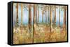 Field of Flowers-Sloane Addison ?-Framed Stretched Canvas