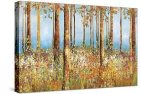 Field of Flowers-Sloane Addison ?-Stretched Canvas