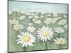 Field of Flowers-Randy Hibberd-Mounted Art Print