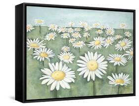 Field of Flowers-Randy Hibberd-Framed Stretched Canvas