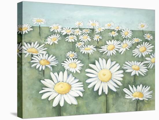 Field of Flowers-Randy Hibberd-Stretched Canvas