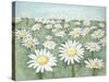 Field of Flowers-Randy Hibberd-Stretched Canvas