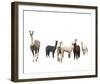 Field of Friends-Bill Philip-Framed Giclee Print