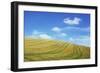 Field of Gold-Den Reader-Framed Photographic Print