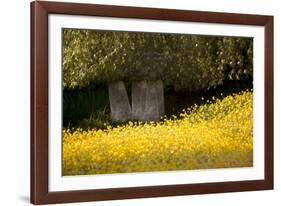 Field of Gold-Valda Bailey-Framed Photographic Print