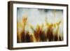 Field of Golden Blossoms-Rikki Drotar-Framed Giclee Print