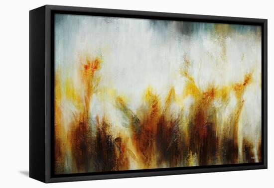 Field of Golden Blossoms-Rikki Drotar-Framed Stretched Canvas