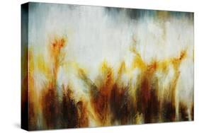 Field of Golden Blossoms-Rikki Drotar-Stretched Canvas