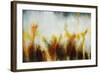 Field of Golden Blossoms-Rikki Drotar-Framed Giclee Print