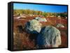 Field of Granite Boulders-James Randklev-Framed Stretched Canvas