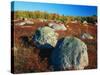 Field of Granite Boulders-James Randklev-Stretched Canvas