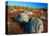 Field of Granite Boulders-James Randklev-Stretched Canvas