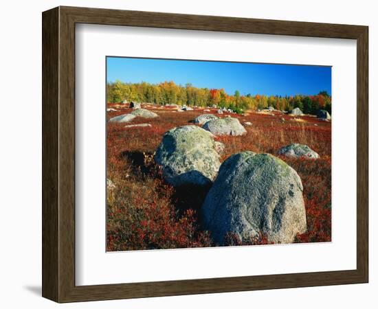 Field of Granite Boulders-James Randklev-Framed Photographic Print