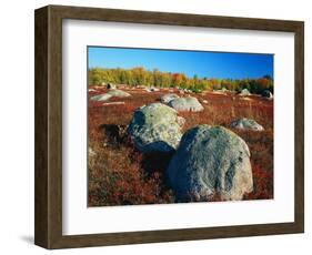 Field of Granite Boulders-James Randklev-Framed Photographic Print