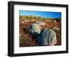 Field of Granite Boulders-James Randklev-Framed Photographic Print