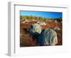 Field of Granite Boulders-James Randklev-Framed Photographic Print