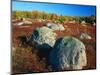 Field of Granite Boulders-James Randklev-Mounted Photographic Print