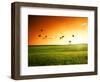 Field of Grass and Flying Birds-Iakov Kalinin-Framed Photographic Print
