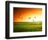 Field of Grass and Flying Birds-Iakov Kalinin-Framed Photographic Print