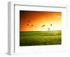 Field of Grass and Flying Birds-Iakov Kalinin-Framed Photographic Print