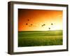 Field of Grass and Flying Birds-Iakov Kalinin-Framed Photographic Print