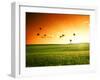 Field of Grass and Flying Birds-Iakov Kalinin-Framed Photographic Print