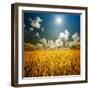 Field of Grass. Meadow Wheat under Sky-Kalina Vova-Framed Photographic Print