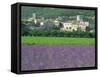 Field of Lavender and Village of Montclus Behind, Gard, Languedoc-Roussillon, France, Europe-Tomlinson Ruth-Framed Stretched Canvas