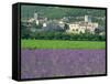 Field of Lavender and Village of Montclus Behind, Gard, Languedoc-Roussillon, France, Europe-Tomlinson Ruth-Framed Stretched Canvas