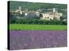 Field of Lavender and Village of Montclus Behind, Gard, Languedoc-Roussillon, France, Europe-Tomlinson Ruth-Stretched Canvas