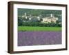 Field of Lavender and Village of Montclus Behind, Gard, Languedoc-Roussillon, France, Europe-Tomlinson Ruth-Framed Photographic Print