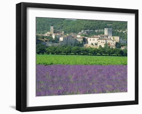 Field of Lavender and Village of Montclus Behind, Gard, Languedoc-Roussillon, France, Europe-Tomlinson Ruth-Framed Photographic Print