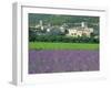 Field of Lavender and Village of Montclus Behind, Gard, Languedoc-Roussillon, France, Europe-Tomlinson Ruth-Framed Photographic Print