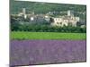 Field of Lavender and Village of Montclus Behind, Gard, Languedoc-Roussillon, France, Europe-Tomlinson Ruth-Mounted Photographic Print