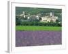 Field of Lavender and Village of Montclus Behind, Gard, Languedoc-Roussillon, France, Europe-Tomlinson Ruth-Framed Photographic Print