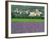 Field of Lavender and Village of Montclus Behind, Gard, Languedoc-Roussillon, France, Europe-Tomlinson Ruth-Framed Photographic Print
