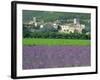 Field of Lavender and Village of Montclus Behind, Gard, Languedoc-Roussillon, France, Europe-Tomlinson Ruth-Framed Photographic Print