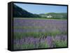 Field of Lavender and Village of Montclus in Distance, Gard, Languedoc-Roussillon, France, Europe-Tomlinson Ruth-Framed Stretched Canvas