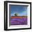 Field of Lavender (Left Detail)-Philip Bloom-Framed Art Print