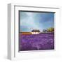 Field of Lavender (Right Detail)-Philip Bloom-Framed Art Print