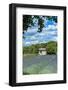 Field of lavender, St. Paul de Mausole, St. Remy, Provence, France-Lisa S. Engelbrecht-Framed Photographic Print