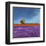 Field of Lavender-Philip Bloom-Framed Art Print