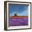 Field of Lavender-Philip Bloom-Framed Art Print