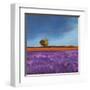 Field of Lavender-Philip Bloom-Framed Art Print