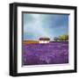 Field of Lavender-Philip Bloom-Framed Art Print