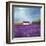 Field of Lavender-Philip Bloom-Framed Art Print